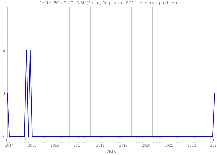 CAMALEON PINTUR SL (Spain) Page visits 2024 