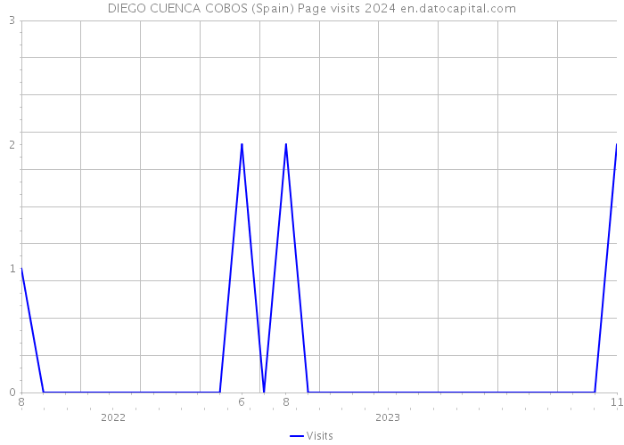DIEGO CUENCA COBOS (Spain) Page visits 2024 