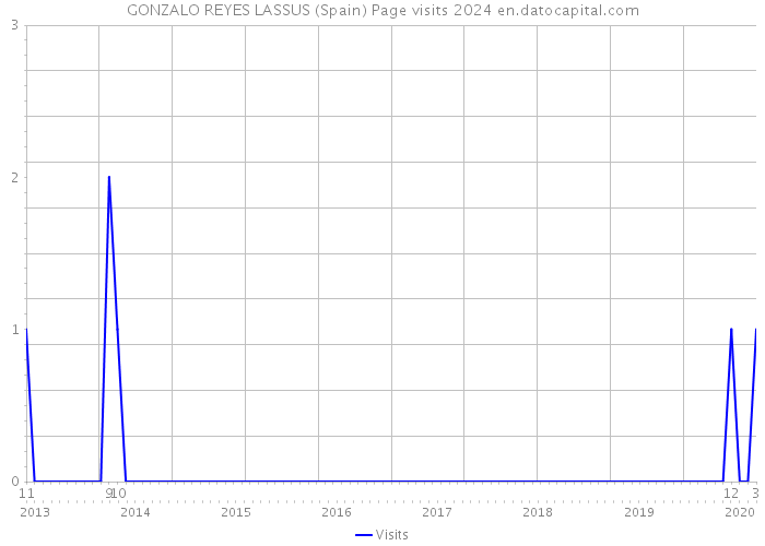 GONZALO REYES LASSUS (Spain) Page visits 2024 