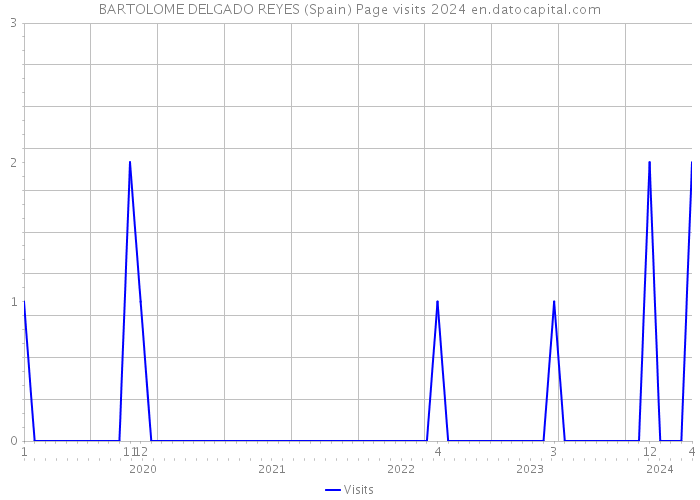 BARTOLOME DELGADO REYES (Spain) Page visits 2024 