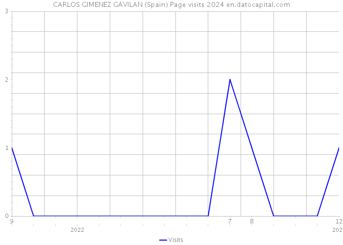 CARLOS GIMENEZ GAVILAN (Spain) Page visits 2024 