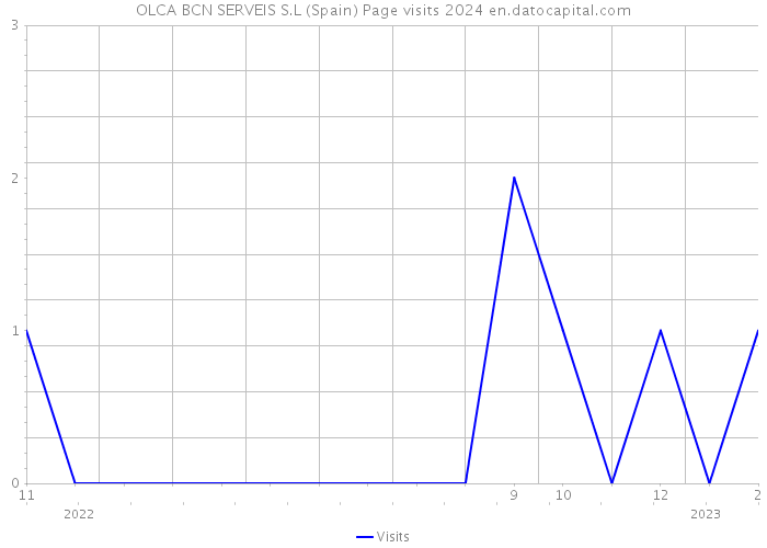 OLCA BCN SERVEIS S.L (Spain) Page visits 2024 