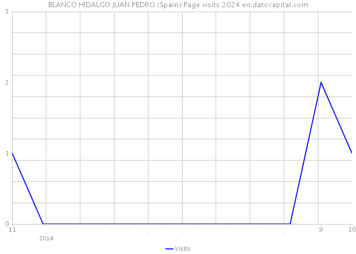 BLANCO HIDALGO JUAN PEDRO (Spain) Page visits 2024 