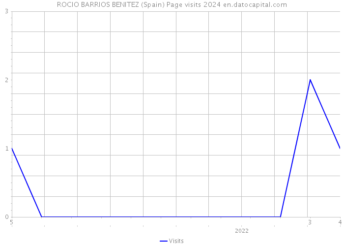 ROCIO BARRIOS BENITEZ (Spain) Page visits 2024 