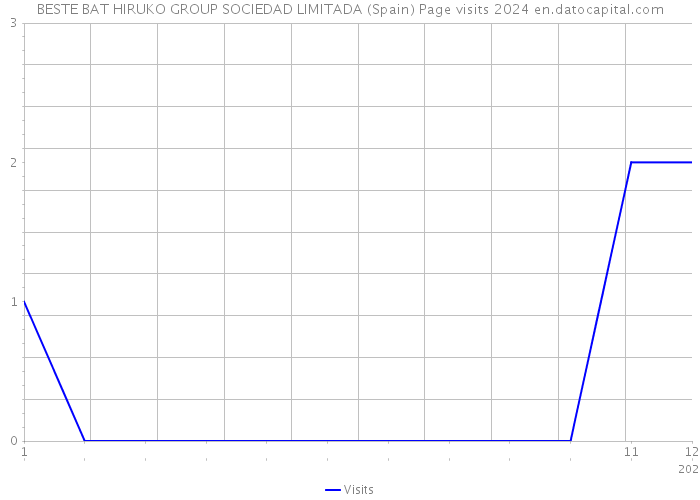 BESTE BAT HIRUKO GROUP SOCIEDAD LIMITADA (Spain) Page visits 2024 