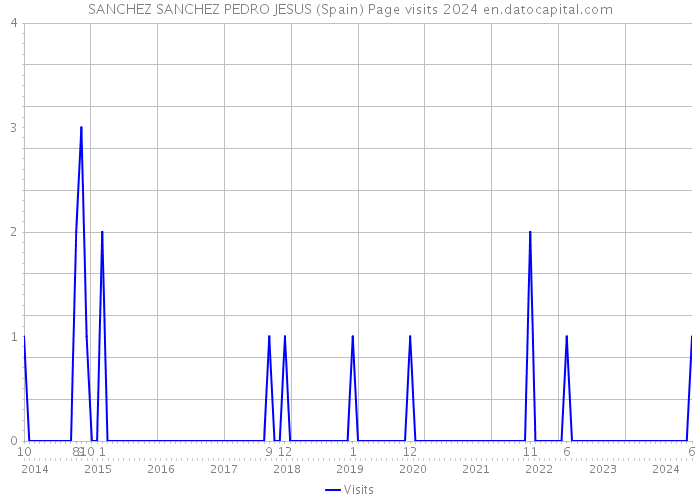 SANCHEZ SANCHEZ PEDRO JESUS (Spain) Page visits 2024 