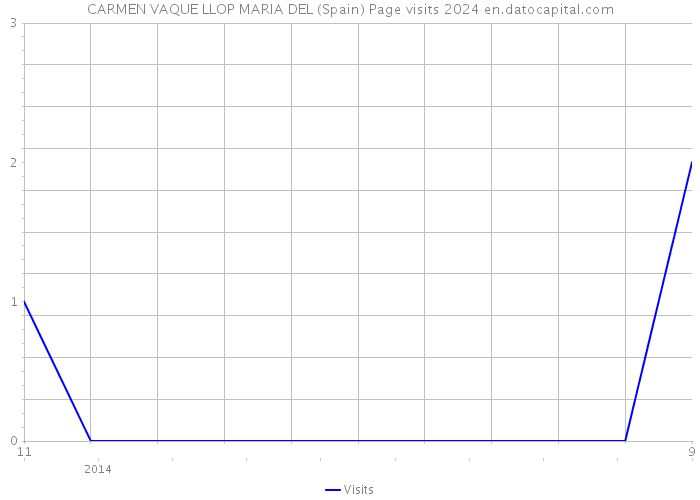 CARMEN VAQUE LLOP MARIA DEL (Spain) Page visits 2024 