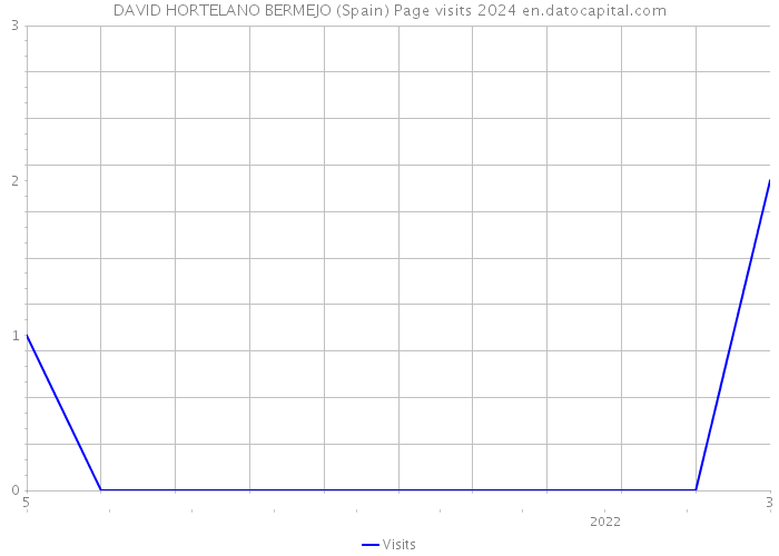 DAVID HORTELANO BERMEJO (Spain) Page visits 2024 