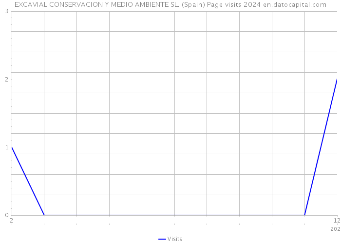 EXCAVIAL CONSERVACION Y MEDIO AMBIENTE SL. (Spain) Page visits 2024 