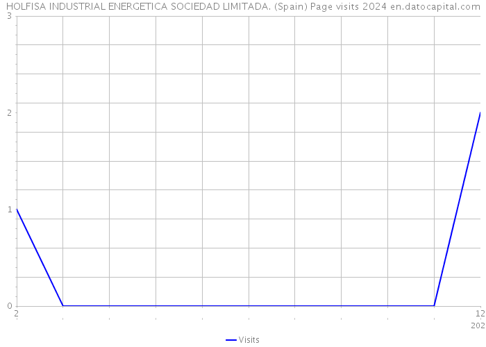 HOLFISA INDUSTRIAL ENERGETICA SOCIEDAD LIMITADA. (Spain) Page visits 2024 