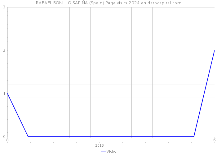 RAFAEL BONILLO SAPIÑA (Spain) Page visits 2024 