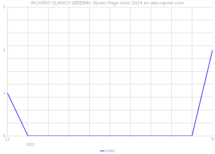 RICARDO GUANCO LEDESMA (Spain) Page visits 2024 