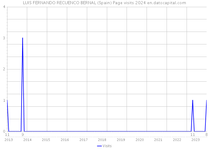 LUIS FERNANDO RECUENCO BERNAL (Spain) Page visits 2024 