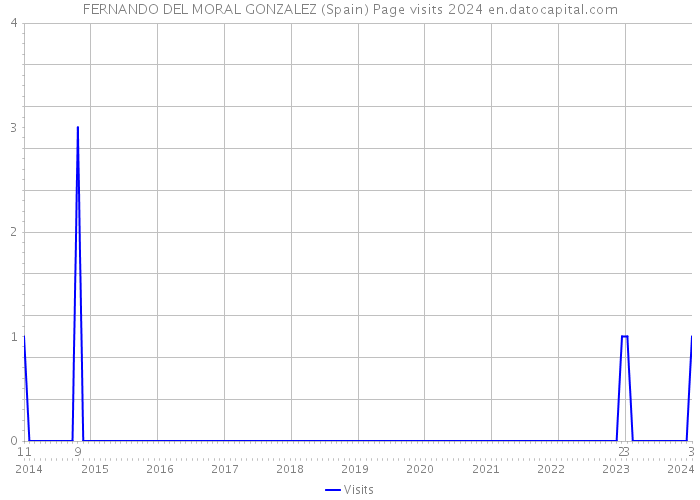 FERNANDO DEL MORAL GONZALEZ (Spain) Page visits 2024 