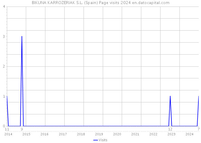 BIKUNA KARROZERIAK S.L. (Spain) Page visits 2024 