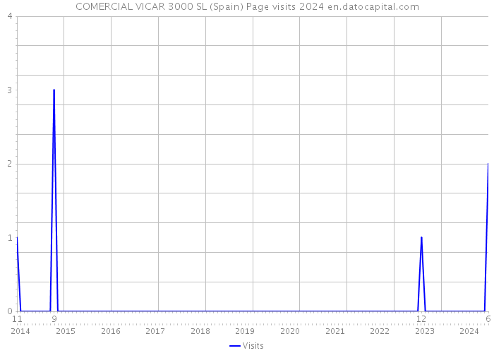 COMERCIAL VICAR 3000 SL (Spain) Page visits 2024 