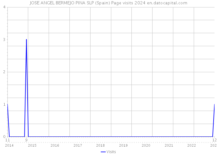 JOSE ANGEL BERMEJO PINA SLP (Spain) Page visits 2024 