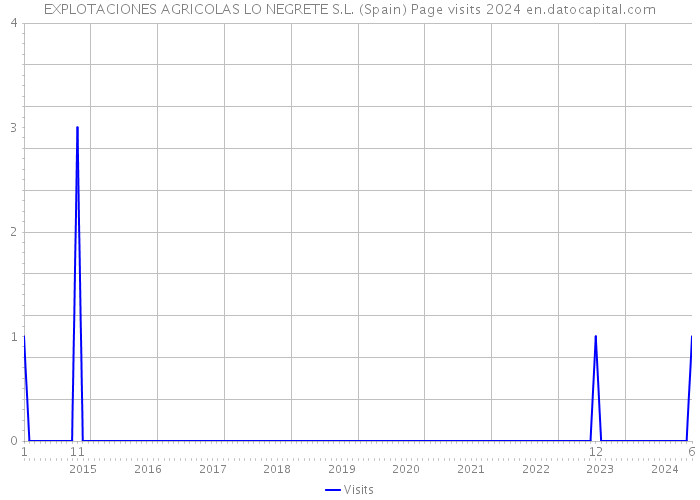 EXPLOTACIONES AGRICOLAS LO NEGRETE S.L. (Spain) Page visits 2024 