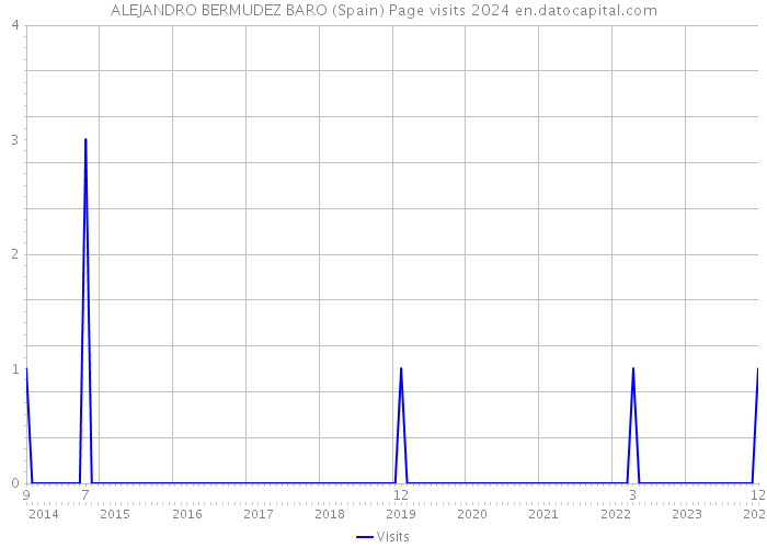 ALEJANDRO BERMUDEZ BARO (Spain) Page visits 2024 