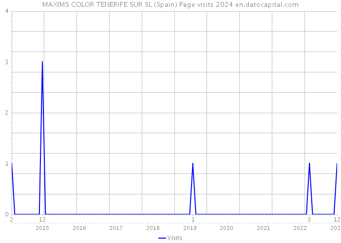 MAXIMS COLOR TENERIFE SUR SL (Spain) Page visits 2024 