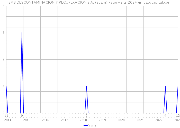 BMS DESCONTAMINACION Y RECUPERACION S.A. (Spain) Page visits 2024 