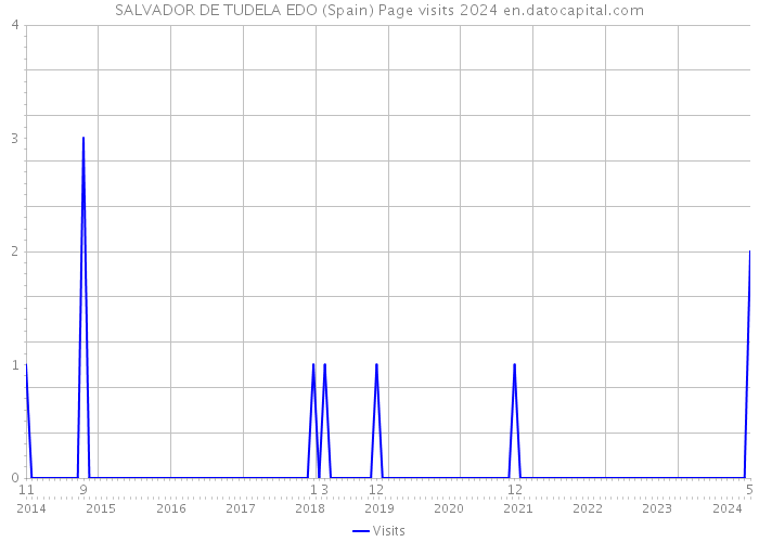 SALVADOR DE TUDELA EDO (Spain) Page visits 2024 