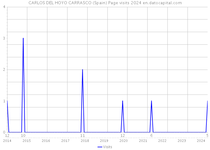 CARLOS DEL HOYO CARRASCO (Spain) Page visits 2024 