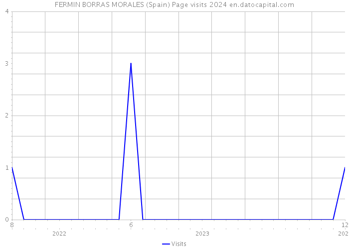 FERMIN BORRAS MORALES (Spain) Page visits 2024 