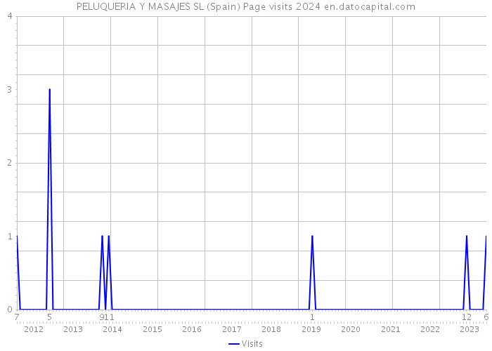 PELUQUERIA Y MASAJES SL (Spain) Page visits 2024 