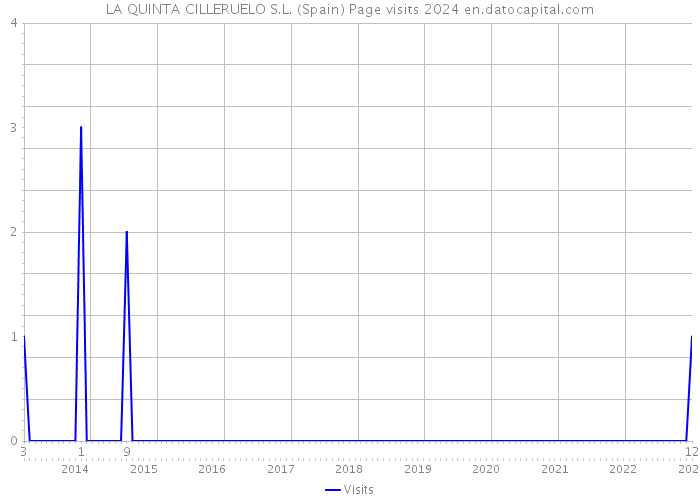 LA QUINTA CILLERUELO S.L. (Spain) Page visits 2024 