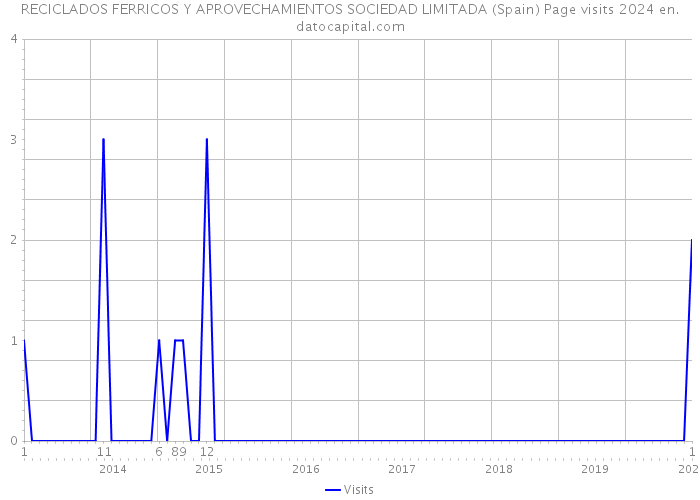 RECICLADOS FERRICOS Y APROVECHAMIENTOS SOCIEDAD LIMITADA (Spain) Page visits 2024 
