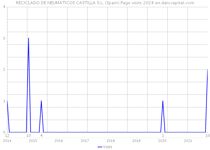 RECICLADO DE NEUMATICOS CASTILLA S.L. (Spain) Page visits 2024 