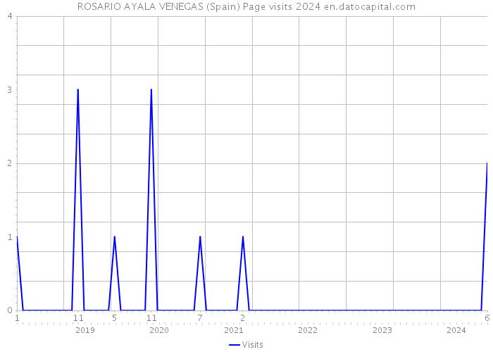ROSARIO AYALA VENEGAS (Spain) Page visits 2024 