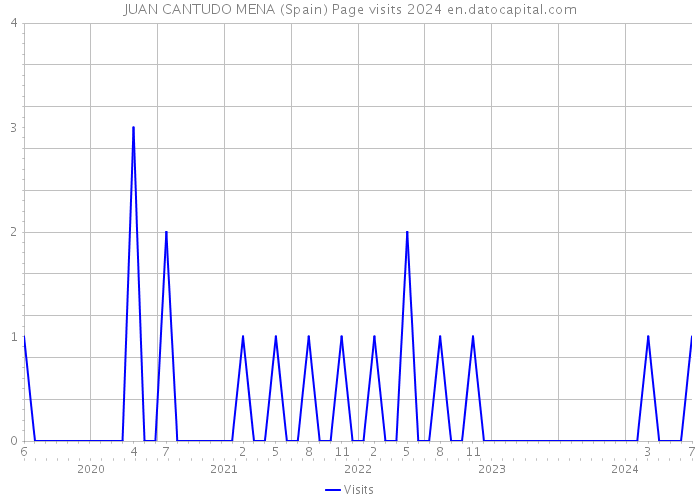 JUAN CANTUDO MENA (Spain) Page visits 2024 