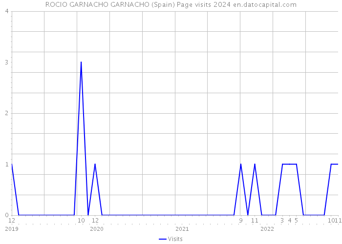 ROCIO GARNACHO GARNACHO (Spain) Page visits 2024 