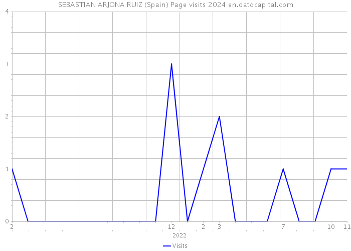 SEBASTIAN ARJONA RUIZ (Spain) Page visits 2024 