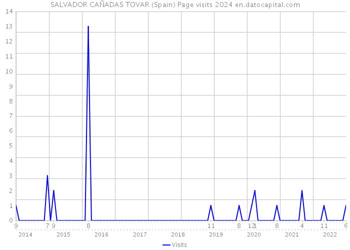 SALVADOR CAÑADAS TOVAR (Spain) Page visits 2024 