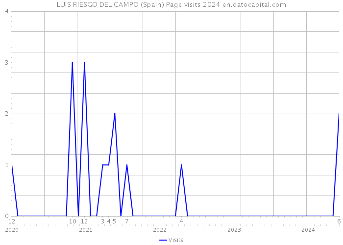 LUIS RIESGO DEL CAMPO (Spain) Page visits 2024 