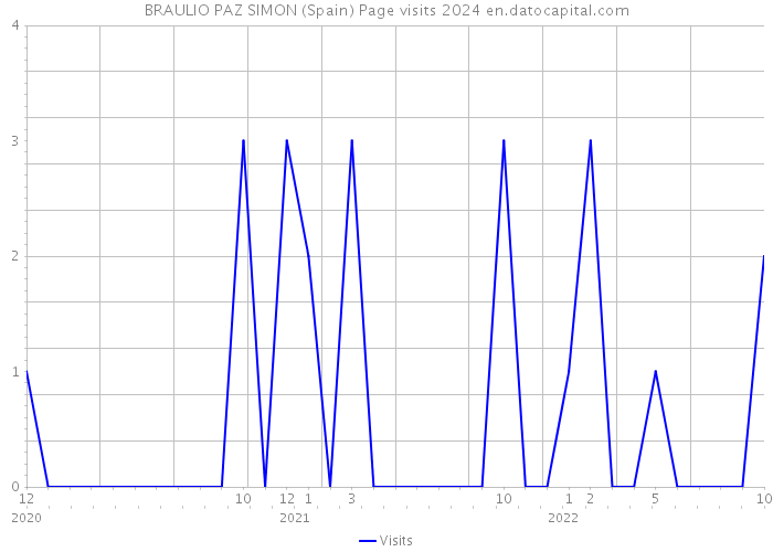 BRAULIO PAZ SIMON (Spain) Page visits 2024 
