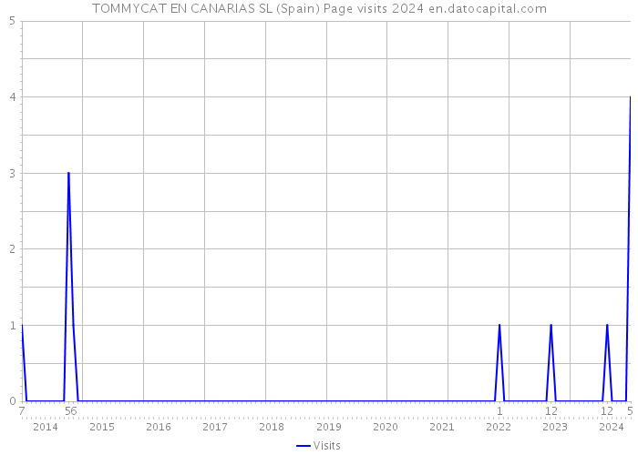 TOMMYCAT EN CANARIAS SL (Spain) Page visits 2024 