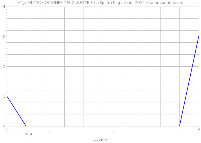 ANJUMI PROMOCIONES DEL SURESTE S.L. (Spain) Page visits 2024 