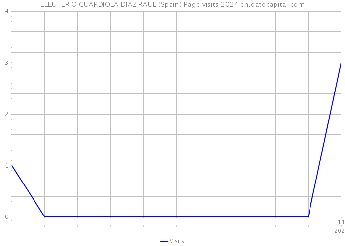 ELEUTERIO GUARDIOLA DIAZ RAUL (Spain) Page visits 2024 