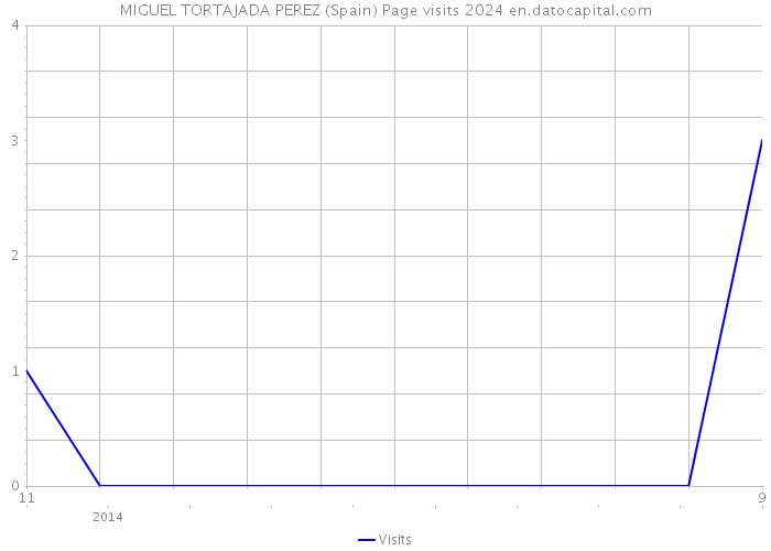 MIGUEL TORTAJADA PEREZ (Spain) Page visits 2024 