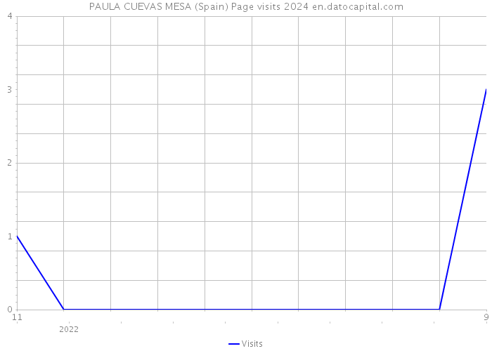 PAULA CUEVAS MESA (Spain) Page visits 2024 