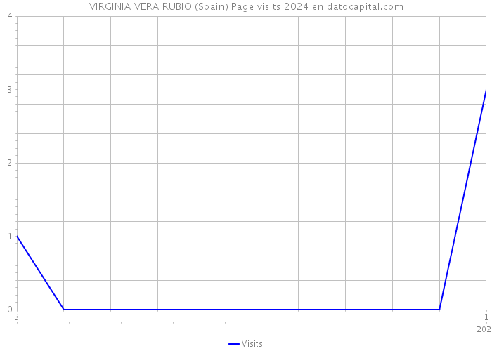 VIRGINIA VERA RUBIO (Spain) Page visits 2024 