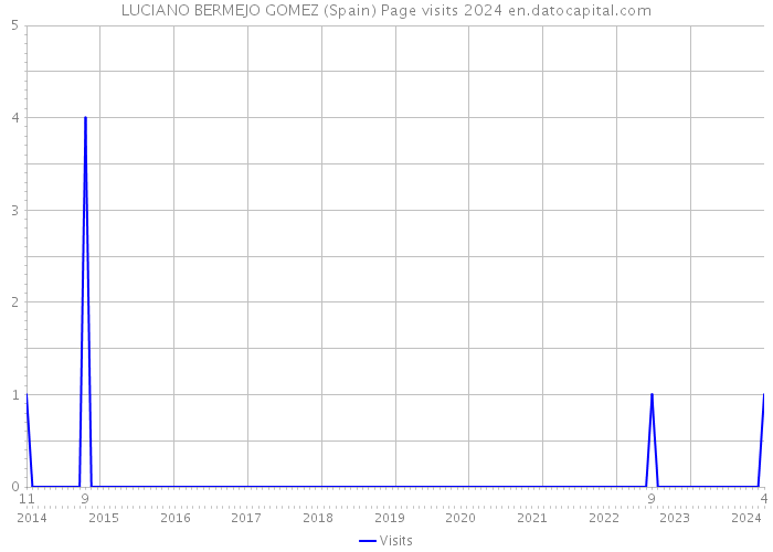 LUCIANO BERMEJO GOMEZ (Spain) Page visits 2024 
