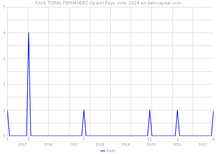 RAUL TORAL FERNANDEZ (Spain) Page visits 2024 