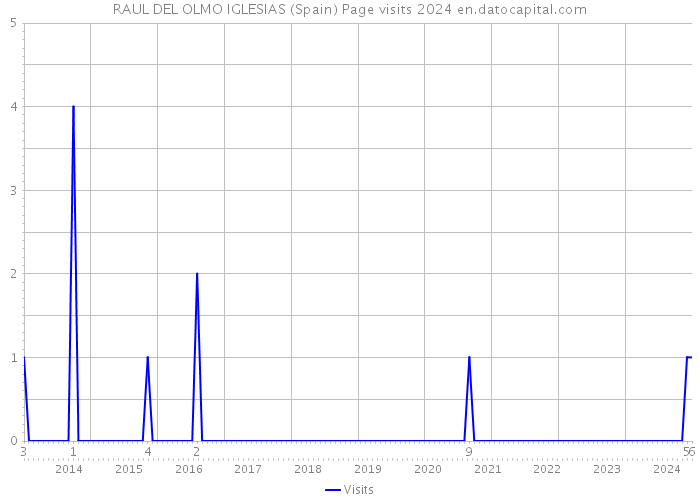 RAUL DEL OLMO IGLESIAS (Spain) Page visits 2024 