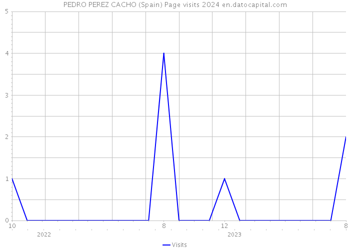 PEDRO PEREZ CACHO (Spain) Page visits 2024 