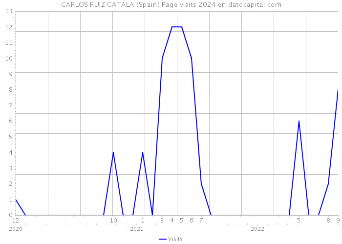 CARLOS RUIZ CATALA (Spain) Page visits 2024 